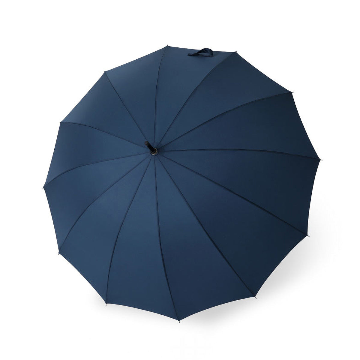 Sophisticated men's walking umbrella in Blue